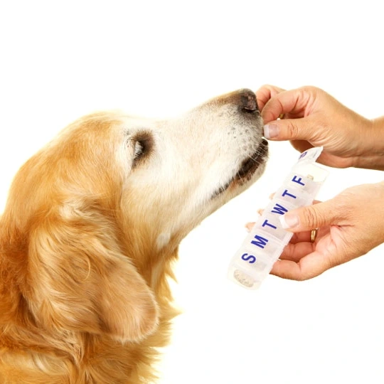 Custom Pet Food Packaging Pouch for Pet Health Supplements