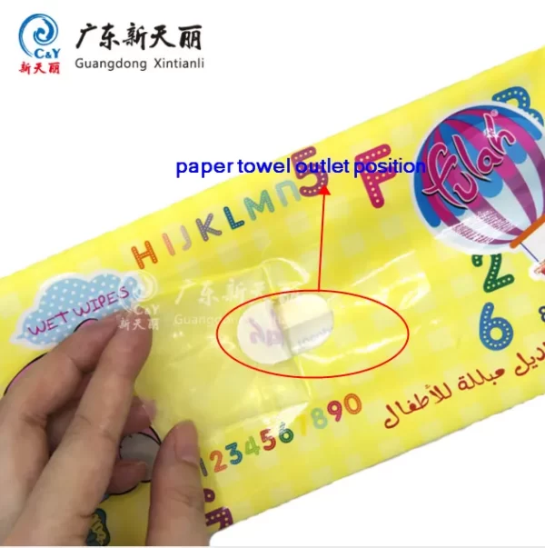 Custom Wet Wipe Packaging, Side Gusset Wet Wipes Pouch-6