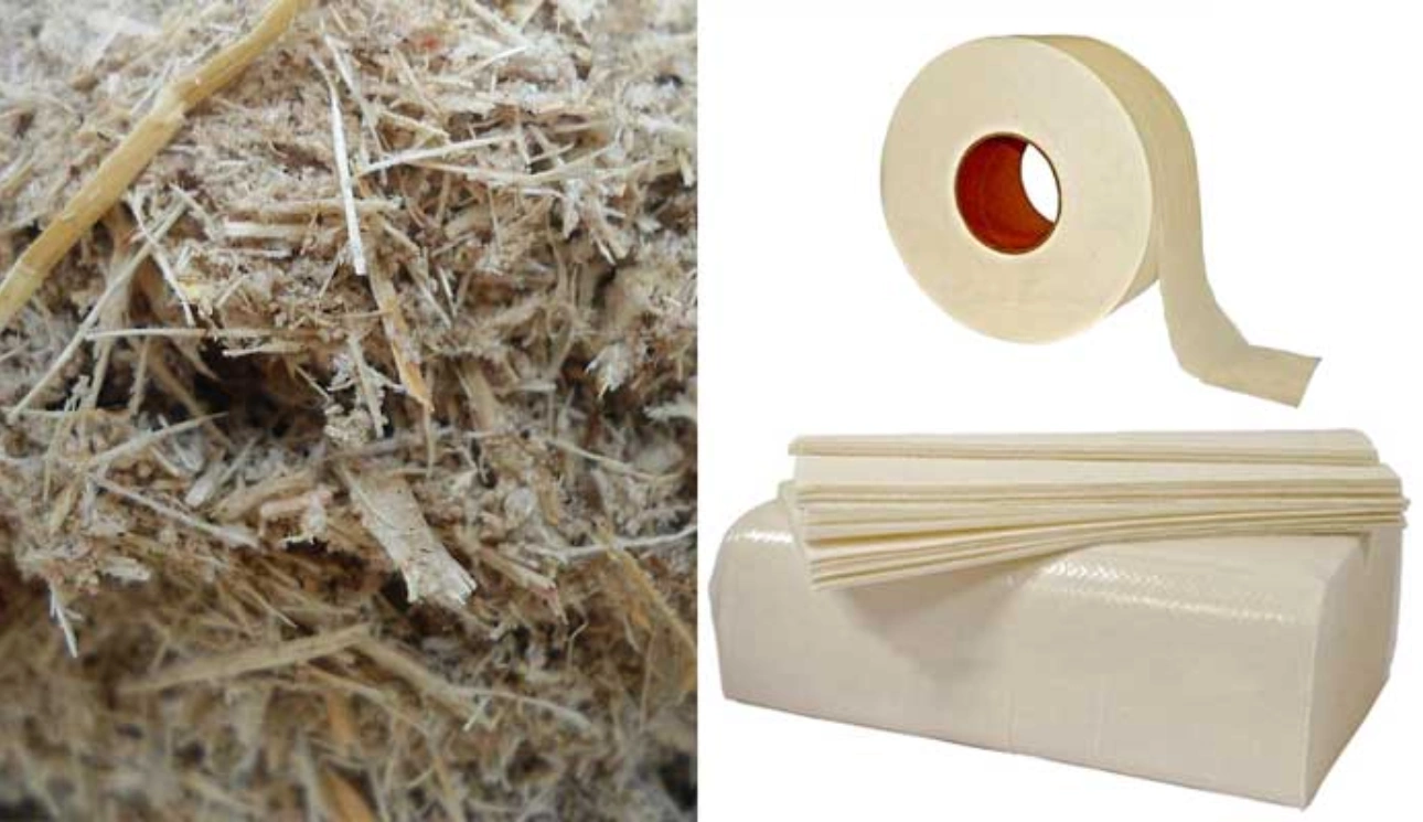 Sustainable Sugarcane Paper-Eco Packaging Pouch Material